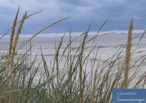 Appartements Friesenhain Ferienwohnungen 22 Gorch-Fock-Weg 25826 Sankt Peter-Ording Schleswig-Holstein