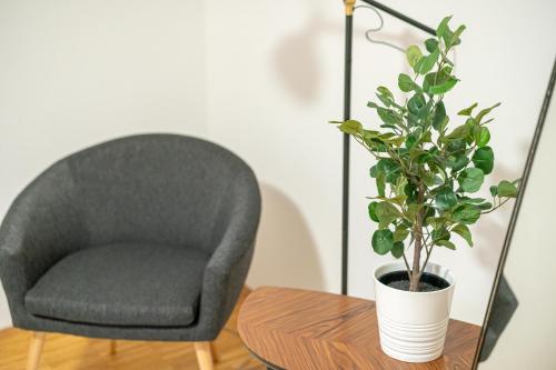 FULL HOUSE Premium Apartments Erfurt
