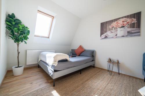 FULL HOUSE Studios - The Buffalo Apartment - NTFLX + WiFi