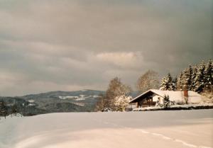 FW Winterer