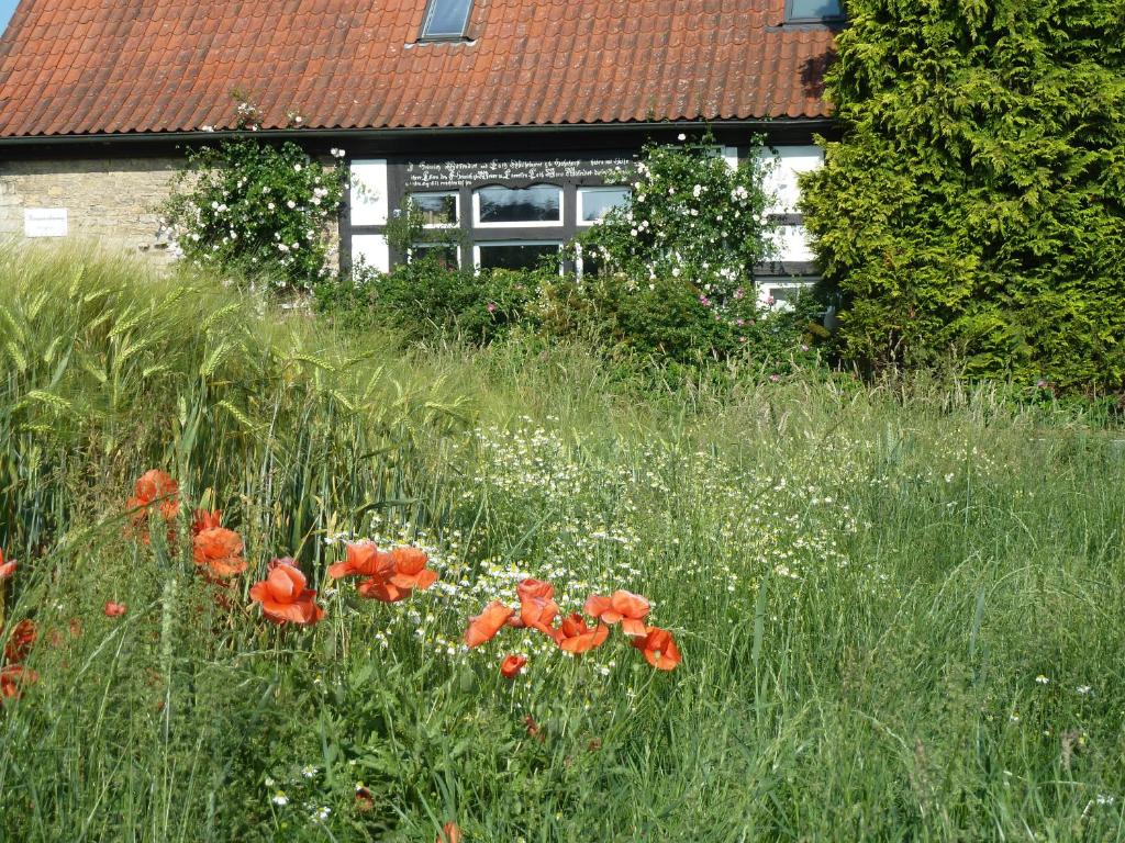 Gästehaus bei Veronica Meller Str. 7, 33829 Borgholzhausen