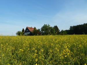 Gästehaus bei Veronica
