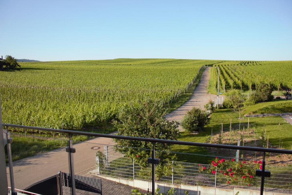 Gästehaus Casa Luna - Paradiesische Ferienwohnungen am Kaiserstuhl! Im Banhag 6, 79235 Bischoffingen