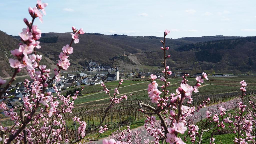 Gästehaus Preuss Auf Mertesborn 9, 56821 Ellenz-Poltersdorf