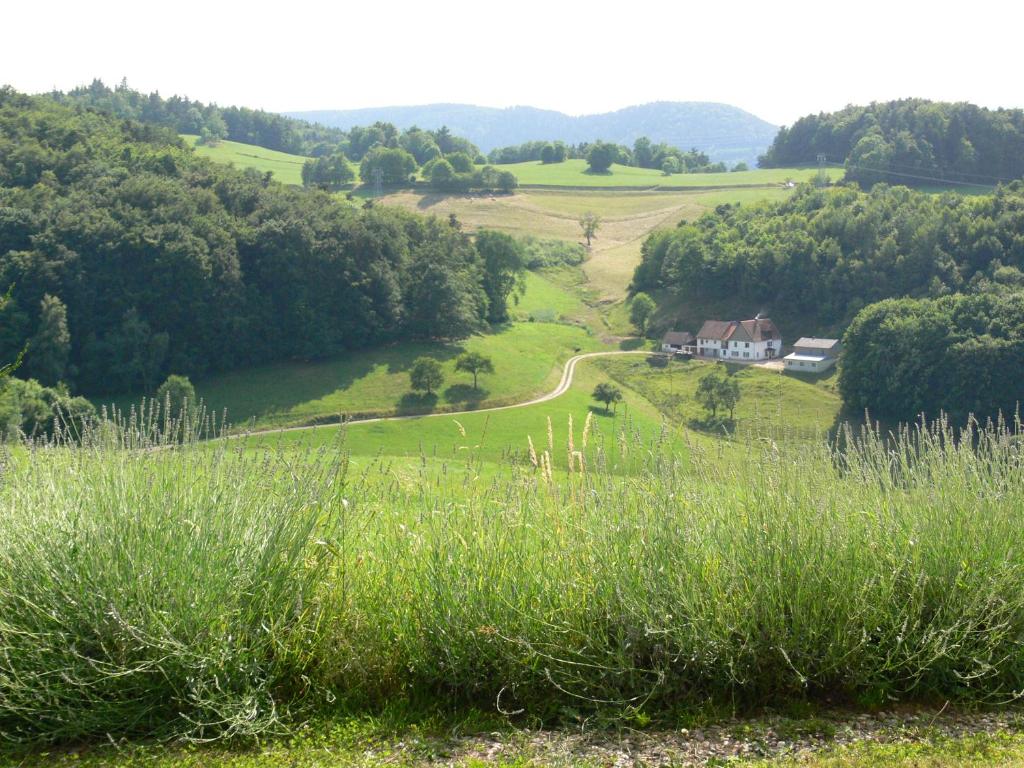 Appartements Gîte la Sapinière Lieu dit le Cras 181A 68910 Labaroche