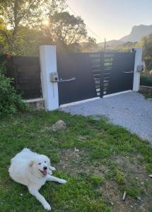 Gîtes A Gravona