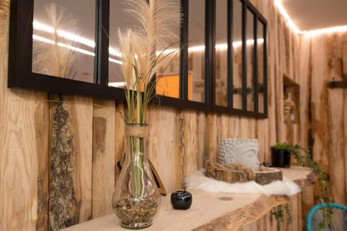Gites Aux Fines Bulles d'Alsace SPA privatif