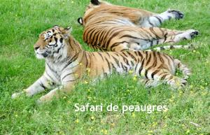 GITES DES ECOLES
