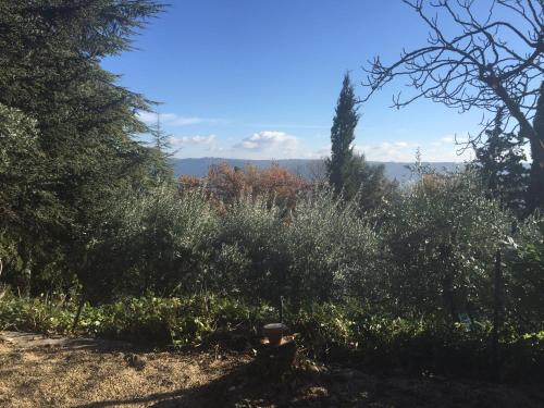 Appartements Gites Mas Du Cadranier 250 Chemin St Jean 04180 Villeneuve Provence-Alpes-Côte d\'Azur
