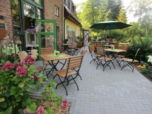 Grüner Wald