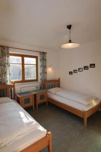 Haflingerhof Galster
