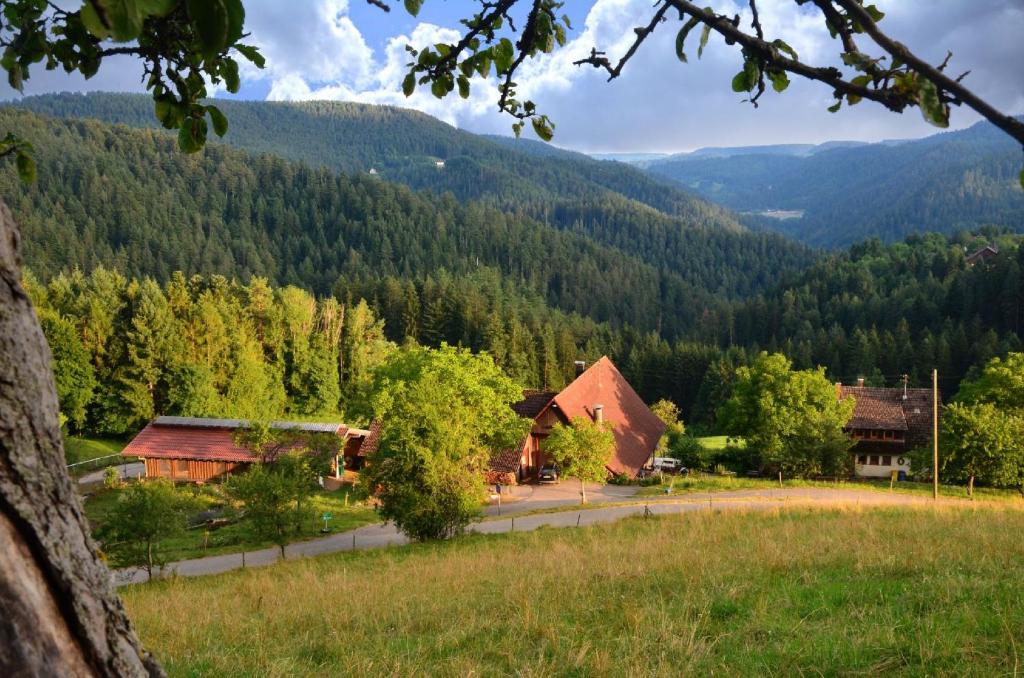 Hansjörgenhof Bioland-Hof Rohrbach 131, 77761 Schiltach