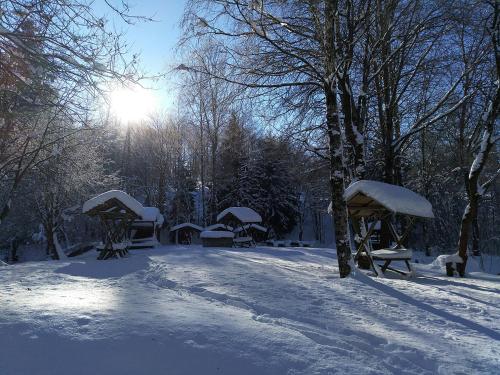 Harzhaus Schneewittchen