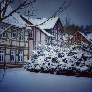 Harzhaus Schneewittchen