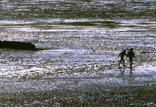 Haubarg am Meer
