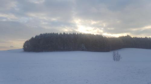 Haus am Wald