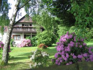 Appartements Haus am Wald - Urlaub am Nationalpark Am Forsthaus 2 55758 Langweiler Rhénanie-Palatinat