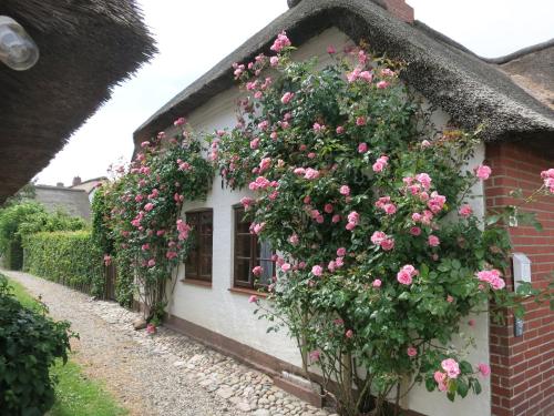 Haus-an-de-Marsch