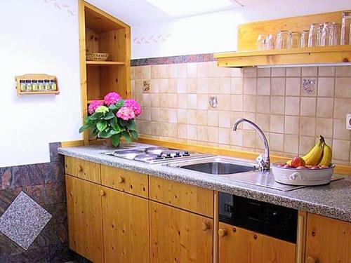 Haus Angerer - Vogeleben