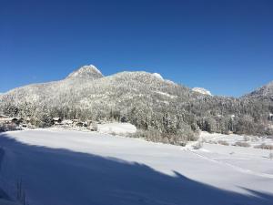 Appartements Haus Bergfrieden Doktorberg 44 83471 Berchtesgaden Bavière