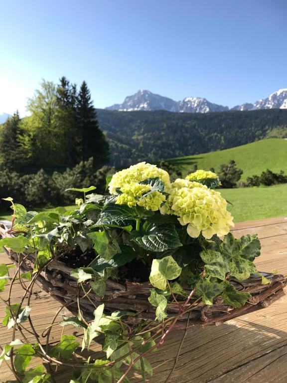 Haus Freynend Stoißberg 56, 83454 Anger