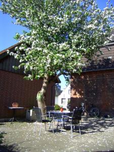 Appartements Haus Gezeiten Gartenstraße 1 25704 Meldorf Schleswig-Holstein