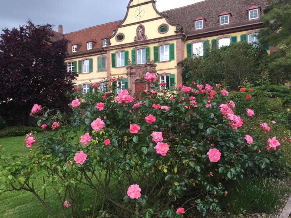 Haus Gisela Herrenstr.33, 79346 Endingen am Kaiserstuhl