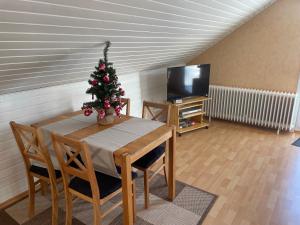 Appartements Haus Harzlich 8 Brunnenweg 38700 Braunlage Basse-Saxe