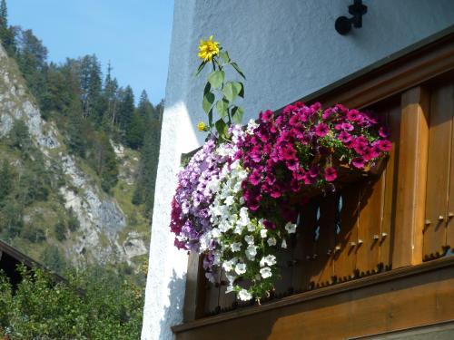 Haus im Kurpark