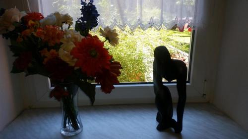Haus mit den Blumen