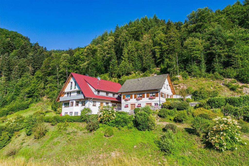 Appartements Haus Niedermättle Lierbachstraße 3 77728 Oppenau