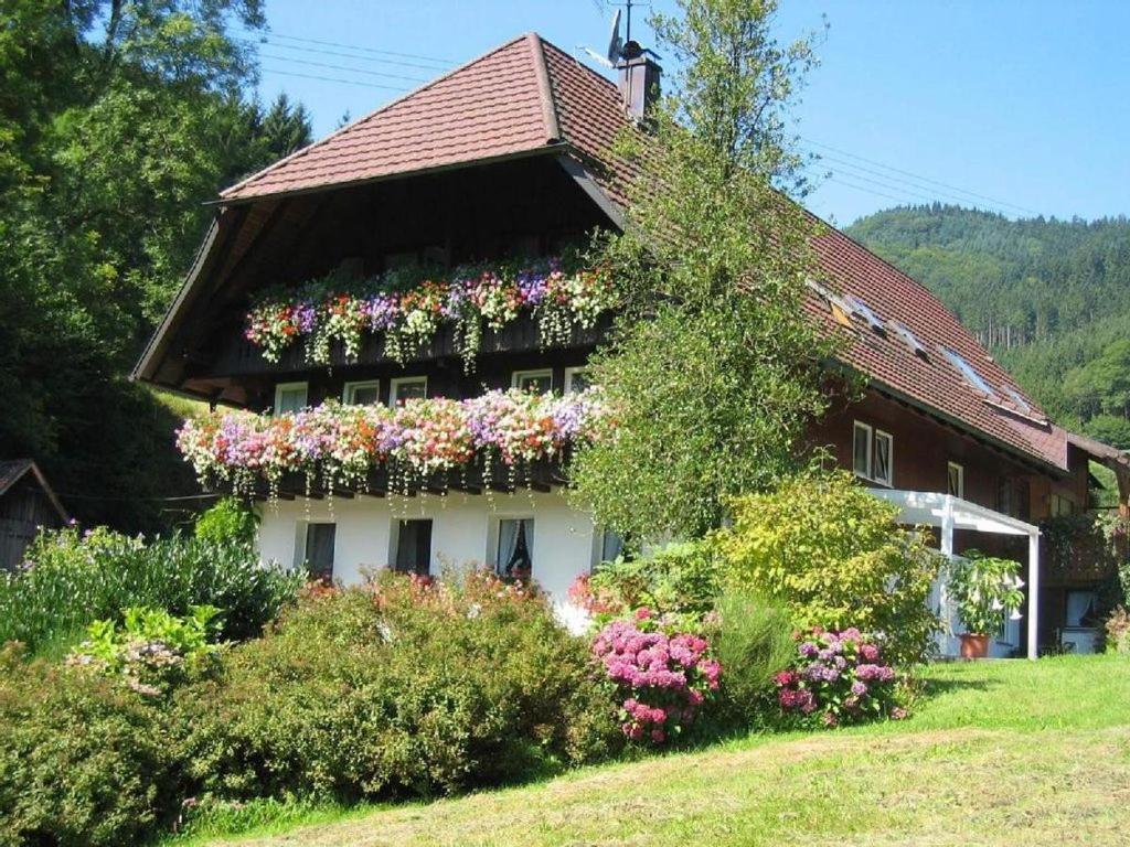 Appartements Haus Schneider Herrenbach 3 77793 Gutach