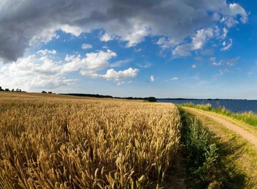 Haus Sonne _ Meer