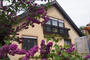 Haus Sonneneck