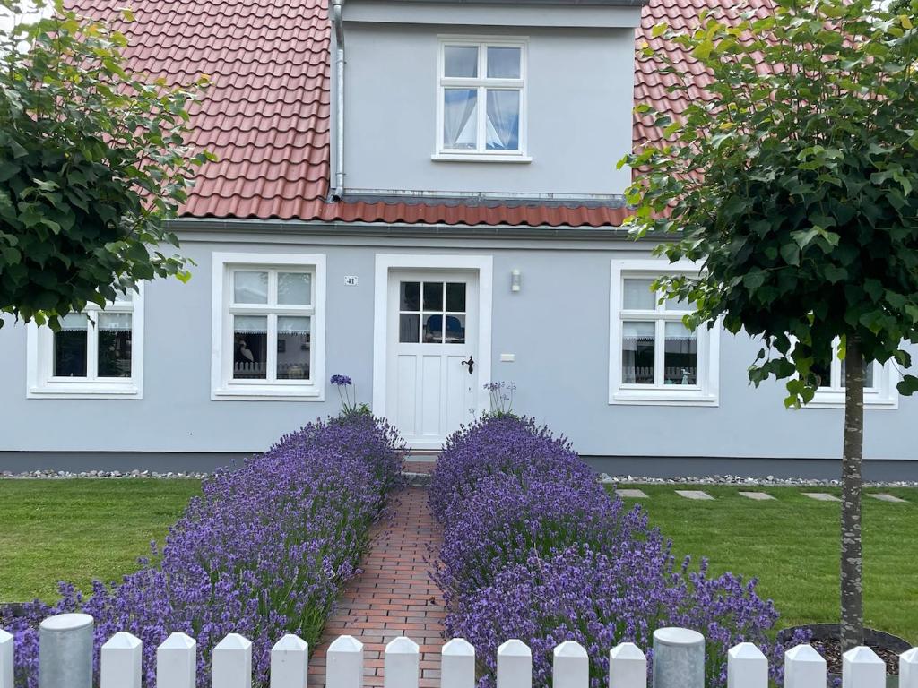 Appartements Haus Vicus Dorfstraße 41 17493 Greifswald