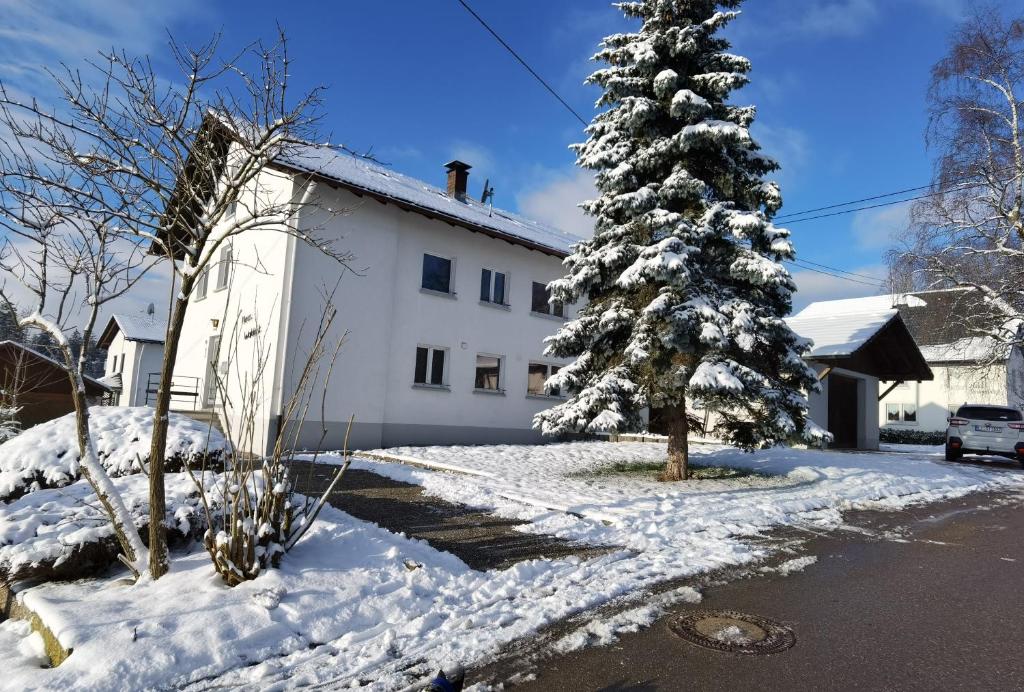 Appartements Haus Waldeck Birkhalde 18 79777 Birkendorf