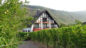 Appartements Haus Weingarten FERIENWOHNUNGEN Moselstraße 9 56814 Ernst Rhénanie-Palatinat