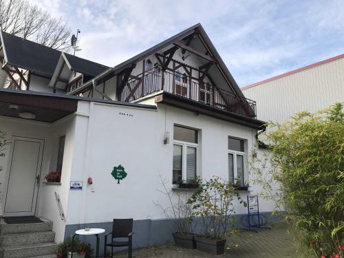 Heringsdorf Haus im Park mit Hund