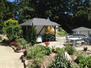 Heringsdorf Haus im Park mit Hund