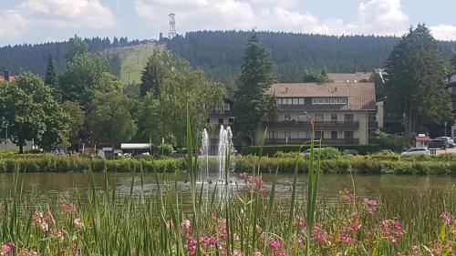 Hexenglück und Hexenzauber Hahnenklee