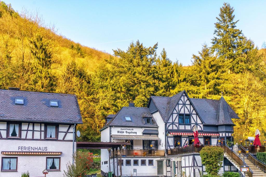 Historische Mühle Vogelsang Rhein-Mosel-Strasse 63, 56332 Brodenbach