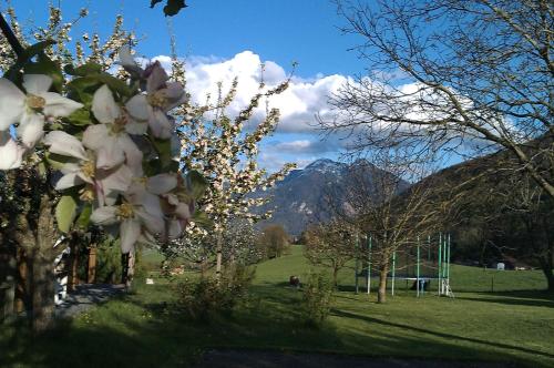 Hoderhof