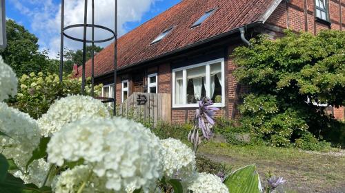 Hof Düshop