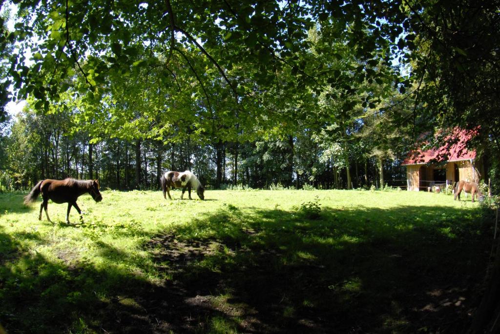 Hof Olde Warft Osterende 5, 25870 Oldenswort