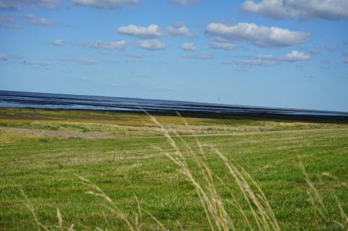 Hof Rickelsbüll - Nordseeurlaub auf dem Biobauernhof