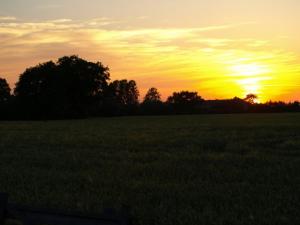 Hof Schubyfeld