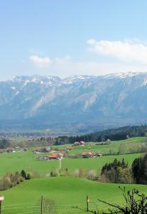 Hölbinger Alm - Apartments