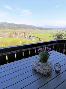 Hölbinger Alm - Apartments