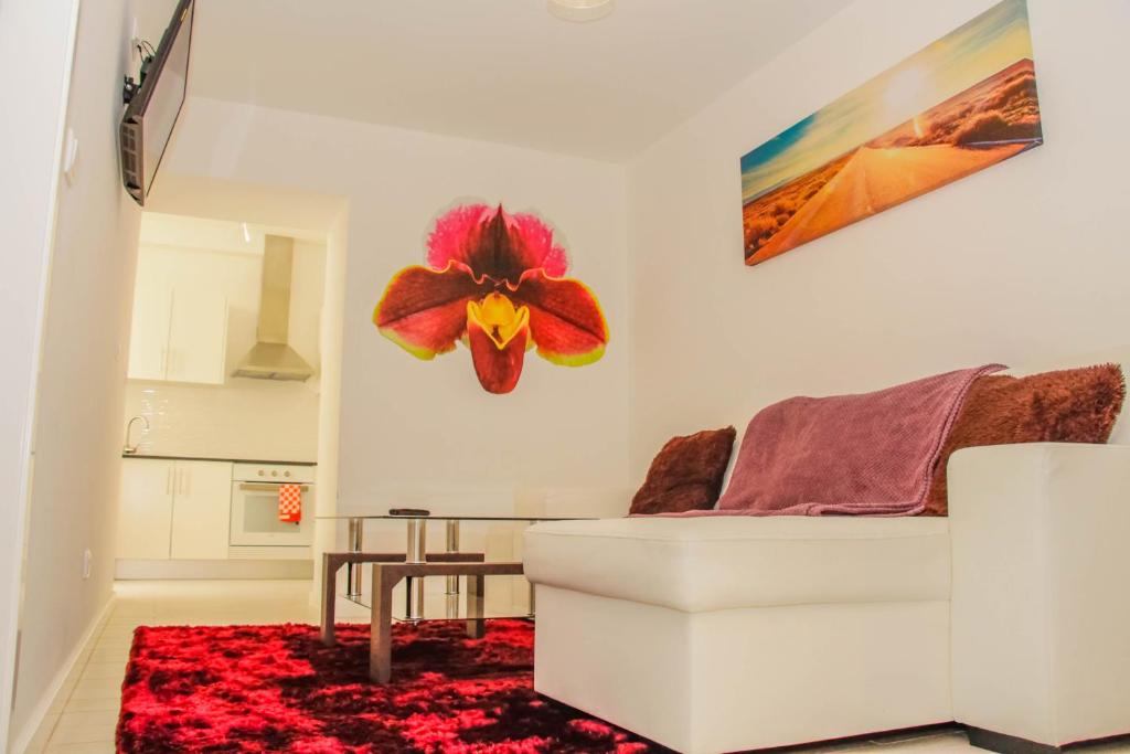 Appartements Holiday Home Funchal Center 21 Rua da Alegria 9000-040 Funchal