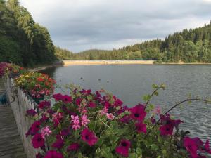 Appartements Holidayhaus Lütsche Am Stausee 2 99330 Frankenhain Thuringe
